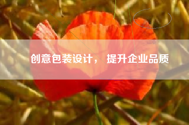 创意包装设计， 提升企业品质