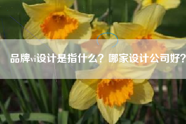 品牌vi设计是指什么？哪家设计公司好？