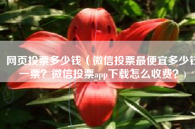 网页投票多少钱（微信投票最便宜多少钱一票？微信投票app下载怎么收费？)