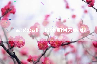 武汉公司logo设计 如何去绘图？
