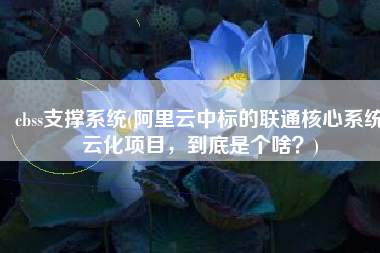 cbss支撑系统(阿里云中标的联通核心系统云化项目，到底是个啥？)