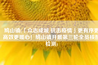 鸠山镇(「众志成城 抗击疫情」更有序更高效更暖心！鸠山镇开展第三轮全员核酸检测)