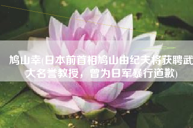 鸠山幸(日本前首相鸠山由纪夫将获聘武大名誉教授，曾为日军暴行道歉)