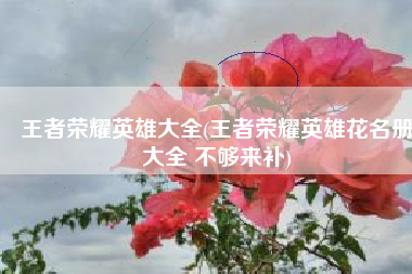 王者荣耀英雄大全(王者荣耀英雄花名册大全 不够来补)