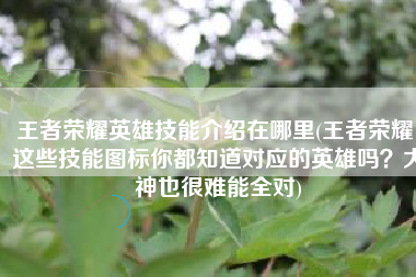 王者荣耀英雄技能介绍在哪里(王者荣耀：这些技能图标你都知道对应的英雄吗？大神也很难能全对)