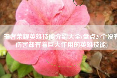 王者荣耀英雄技能介绍大全(盘点20个没有伤害却有着巨大作用的英雄技能)