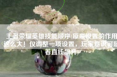 王者荣耀英雄技能顺序(原来设置的作用这么大！仅调整一项设置，玩家意识可随着直线飙升)