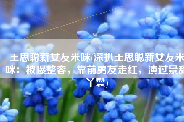 王思聪新女友米咪(深扒王思聪新女友米咪：被曝整容，靠前男友走红，演过景甜丫鬟)