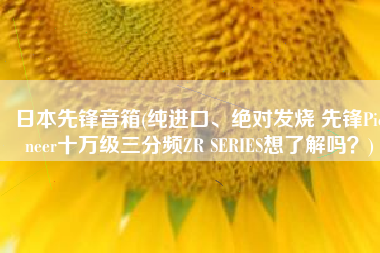 日本先锋音箱(纯进口、绝对发烧 先锋Pioneer十万级三分频ZR SERIES想了解吗？)