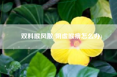 双料喉风散(阴虚喉痹怎么办)