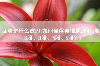 ah股是什么意思(如何通俗易懂地理解A股、B股、H股、N股、S股？)