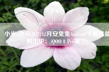 小米8跑分2021(12月安兔兔Android手机性能榜出炉：iQOO 8 Pro第三)