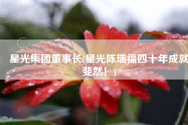 星光集团董事长(星光陈瑞福四十年成就斐然！)