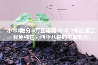 小米8跑分40万正常吗(小米12体验报告！我愿称它为四平八稳的主流旗舰)