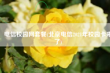 电信校园网套餐(北京电信2021年校园卡来了)