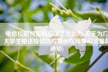 电信校园网密码忘记了怎么办(关于为广大学生赠送疫情防控期间在线学习流量的通知)