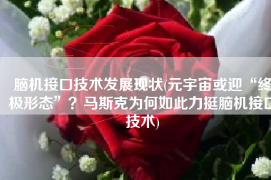 脑机接口技术发展现状(元宇宙或迎“终极形态”？马斯克为何如此力挺脑机接口技术)