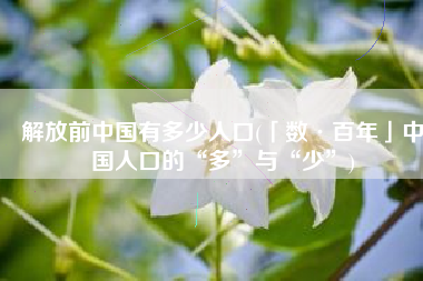 解放前中国有多少人口(「数·百年」中国人口的“多”与“少”)