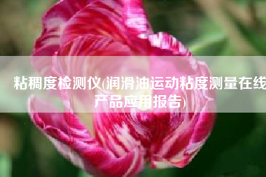 粘稠度检测仪(润滑油运动粘度测量在线产品应用报告)
