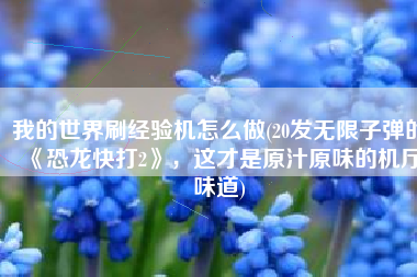 我的世界刷经验机怎么做(20发无限子弹的《恐龙快打2》，这才是原汁原味的机厅味道)