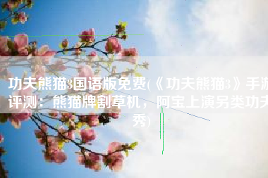 功夫熊猫3国语版免费(《功夫熊猫3》手游评测：熊猫牌割草机，阿宝上演另类功夫秀)