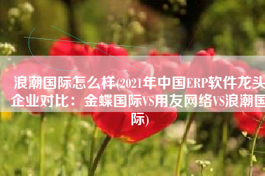 浪潮国际怎么样(2021年中国ERP软件龙头企业对比：金蝶国际VS用友网络VS浪潮国际)
