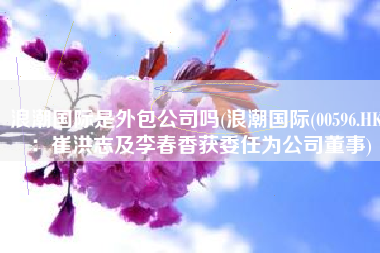 浪潮国际是外包公司吗(浪潮国际(00596.HK)：崔洪志及李春香获委任为公司董事)