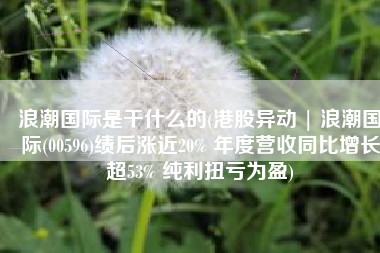 浪潮国际是干什么的(港股异动 | 浪潮国际(00596)绩后涨近20% 年度营收同比增长超53% 纯利扭亏为盈)