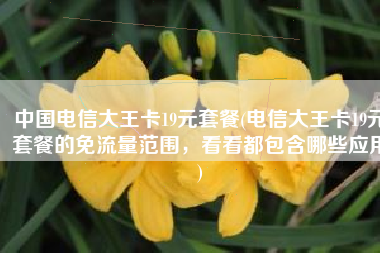 中国电信大王卡19元套餐(电信大王卡19元套餐的免流量范围，看看都包含哪些应用)