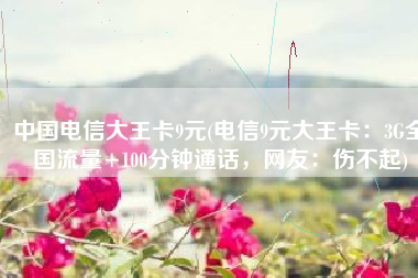 中国电信大王卡9元(电信9元大王卡：3G全国流量+100分钟通话，网友：伤不起)