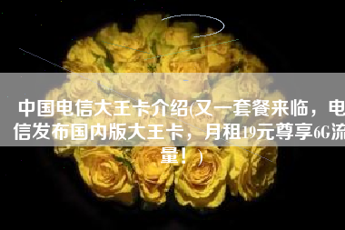 中国电信大王卡介绍(又一套餐来临，电信发布国内版大王卡，月租19元尊享6G流量！)
