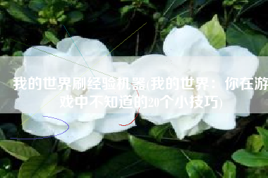 我的世界刷经验机器(我的世界：你在游戏中不知道的20个小技巧)
