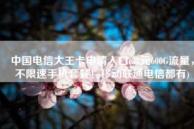 中国电信大王卡申请入口(38元600G流量，不限速手机套餐！移动联通电信都有)