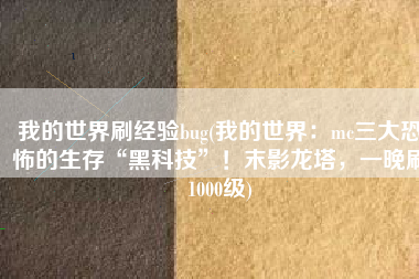 我的世界刷经验bug(我的世界：mc三大恐怖的生存“黑科技”！末影龙塔，一晚刷1000级)