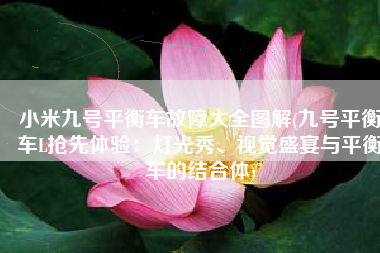 小米九号平衡车故障大全图解(九号平衡车L抢先体验：灯光秀、视觉盛宴与平衡车的结合体)