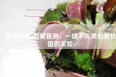 盲测实验(恋爱盲测，一场不完美但有价值的实验)