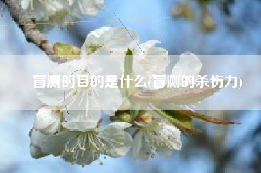 盲测的目的是什么(盲测的杀伤力)