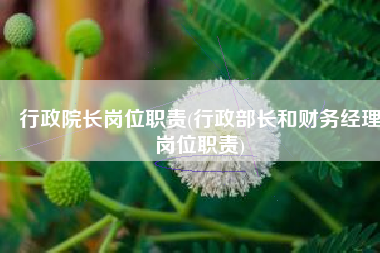 行政院长岗位职责(行政部长和财务经理岗位职责)