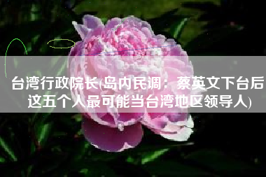 台湾行政院长(岛内民调：蔡英文下台后，这五个人最可能当台湾地区领导人)