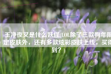 玉净夜叉是什么妖怪(LOL除了三款狗年限定皮肤外，还有多款炫彩皮肤上线，买得到？)