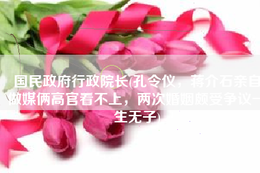 国民政府行政院长(孔令仪，蒋介石亲自做媒俩高官看不上，两次婚姻颇受争议一生无子)
