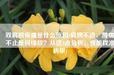 双肩膀疼痛是什么原因(肩膀不适、酸痛不止是何缘故？从这3点分析，或能找准病根)