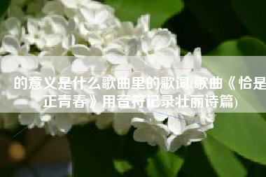 的意义是什么歌曲里的歌词(歌曲《恰是正青春》用音符记录壮丽诗篇)