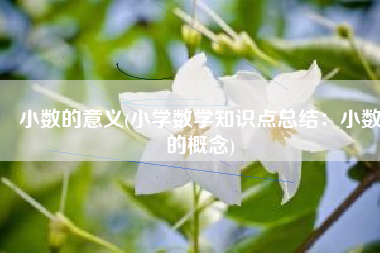小数的意义(小学数学知识点总结：小数的概念)