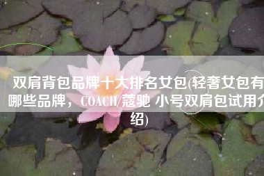 双肩背包品牌十大排名女包(轻奢女包有哪些品牌，COACH/蔻驰 小号双肩包试用介绍)