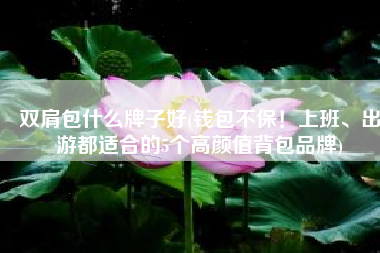 双肩包什么牌子好(钱包不保！上班、出游都适合的5个高颜值背包品牌)
