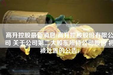 高升控股最新消息(高升控股股份有限公司 关于公司第二大股东所持公司股份 将被处置的公告)