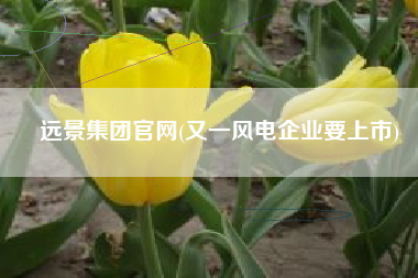 远景集团官网(又一风电企业要上市)