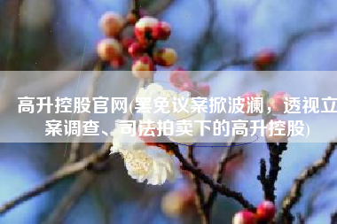 高升控股官网(罢免议案掀波澜，透视立案调查、司法拍卖下的高升控股)