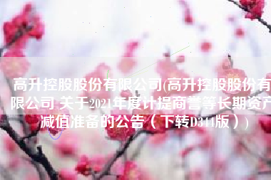 高升控股股份有限公司(高升控股股份有限公司 关于2021年度计提商誉等长期资产 减值准备的公告（下转D344版）)